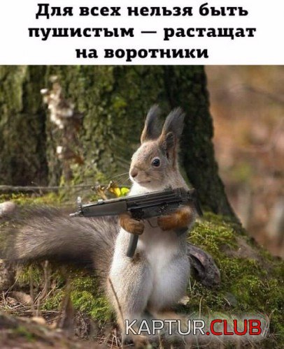 67562614.f.500.500.0.jpg | Рено Каптур Клуб Россия | Форум KAPTUR.SU