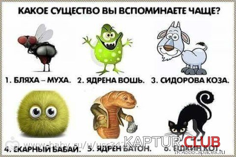 67611298.f.500.500.0.jpg | Рено Каптур Клуб Россия | Форум KAPTUR.SU