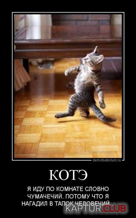 6779f021550358c7fea7a0118f9_prev.jpg | Рено Каптур Клуб Россия | Форум KAPTUR.SU