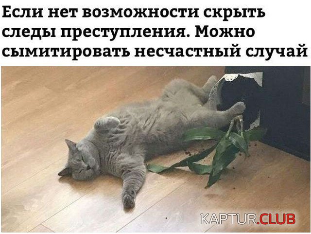 67871309d394e12651b8b894713.jpg | Рено Каптур Клуб Россия | Форум KAPTUR.SU