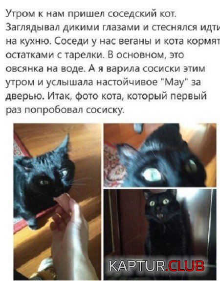679f6386714d2b8ce6712e9304c.jpg | Рено Каптур Клуб Россия | Форум KAPTUR.SU