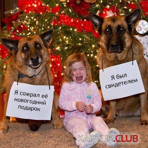 67d6811e4a30dae8b007f03a45a.jpg | Рено Каптур Клуб Россия | Форум KAPTUR.SU