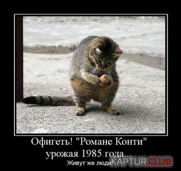 680b0af150f66d642a8f48fc584_prev.jpg | Рено Каптур Клуб Россия | Форум KAPTUR.SU
