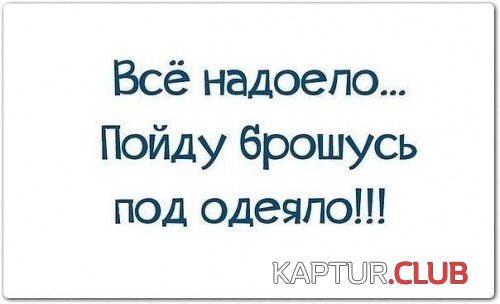 68134928.f.500.500.0.jpg | Рено Каптур Клуб Россия | Форум KAPTUR.SU