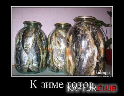 68148529.f.500.500.0.jpg | Рено Каптур Клуб Россия | Форум KAPTUR.SU