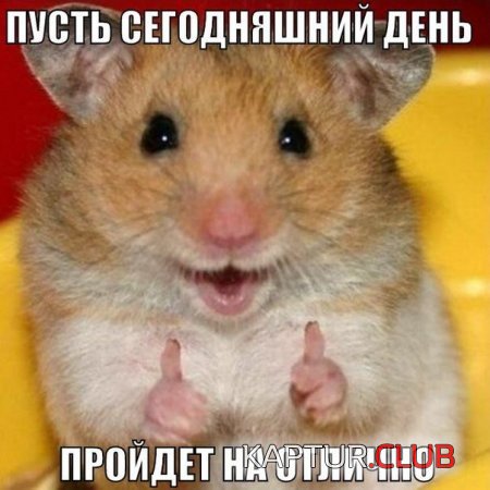 68215375.f.500.500.0.jpg | Рено Каптур Клуб Россия | Форум KAPTUR.SU