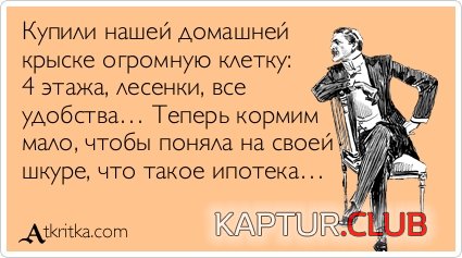 68258869695c46db634ec78adb3.jpg | Рено Каптур Клуб Россия | Форум KAPTUR.SU