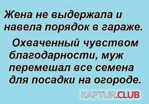 68345083.f.500.500.0.jpg | Рено Каптур Клуб Россия | Форум KAPTUR.SU