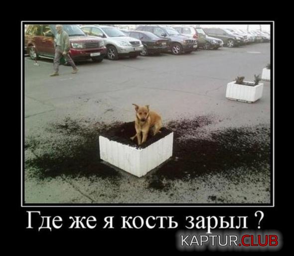 683d0f1449cdb3934a3e304f50c_prev.jpg | Рено Каптур Клуб Россия | Форум KAPTUR.SU