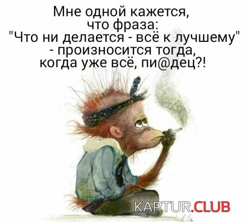 68617067.f.500.500.0.jpg | Рено Каптур Клуб Россия | Форум KAPTUR.SU