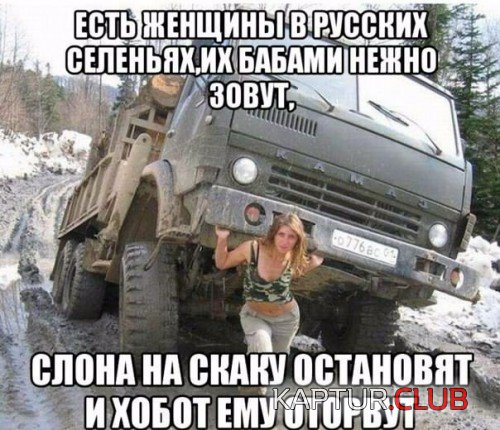 68745304.f.500.500.0.jpg | Рено Каптур Клуб Россия | Форум KAPTUR.SU