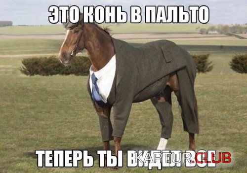 68871627.f.500.500.0.jpg | Рено Каптур Клуб Россия | Форум KAPTUR.SU