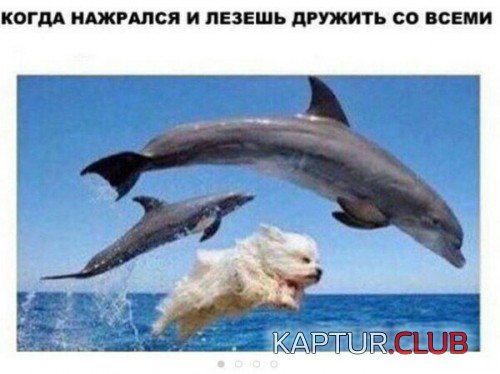 68871730.f.500.500.0.jpg | Рено Каптур Клуб Россия | Форум KAPTUR.SU