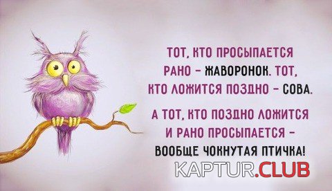 68926311.f.500.500.0.jpg | Рено Каптур Клуб Россия | Форум KAPTUR.SU