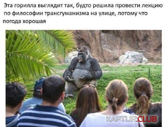 68b00bf530ff18713e54d8788e0.jpg | Рено Каптур Клуб Россия | Форум KAPTUR.SU