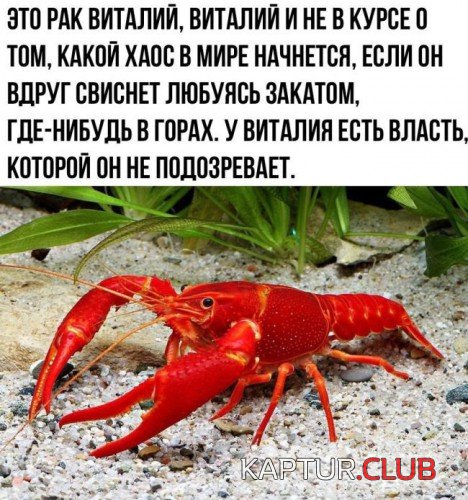 69016739.f.500.500.0.jpg | Рено Каптур Клуб Россия | Форум KAPTUR.SU