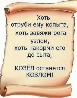 69088517.f.500.500.0.jpg | Рено Каптур Клуб Россия | Форум KAPTUR.SU