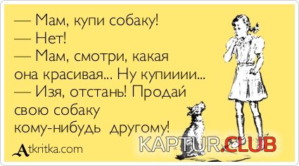 6911a127df73aa603e3d93c0d4a.jpg | Рено Каптур Клуб Россия | Форум KAPTUR.SU