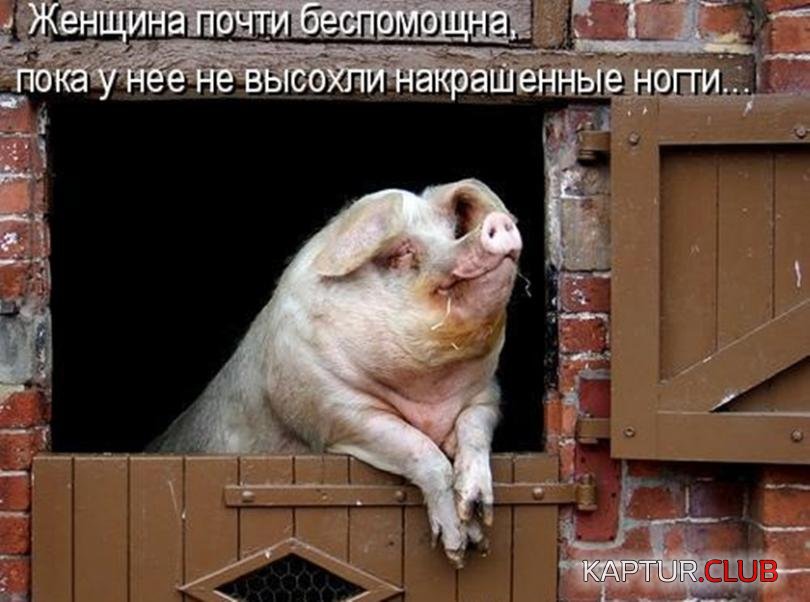 69253dcf405b75c98d821d0901b_prev.jpg | Рено Каптур Клуб Россия | Форум KAPTUR.SU