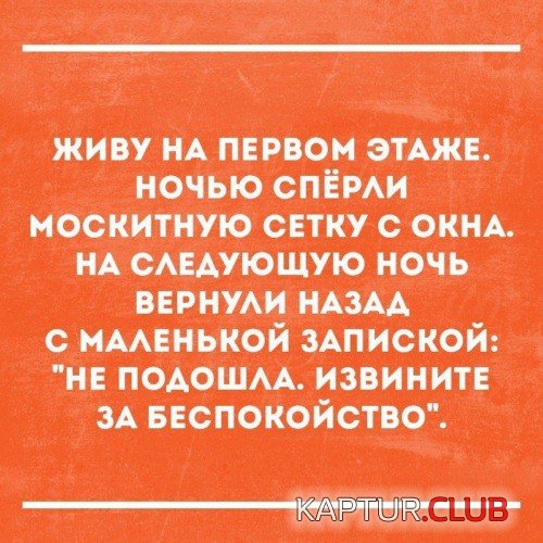 69338320.f.500.500.0.jpg | Рено Каптур Клуб Россия | Форум KAPTUR.SU