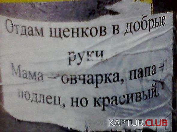 69444aa1e4bc4476d68363e91e2_prev.jpg | Рено Каптур Клуб Россия | Форум KAPTUR.SU
