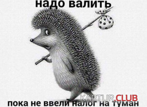 69460908.f.500.500.0.jpg | Рено Каптур Клуб Россия | Форум KAPTUR.SU
