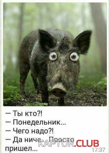 69867076.f.500.500.0.jpg | Рено Каптур Клуб Россия | Форум KAPTUR.SU