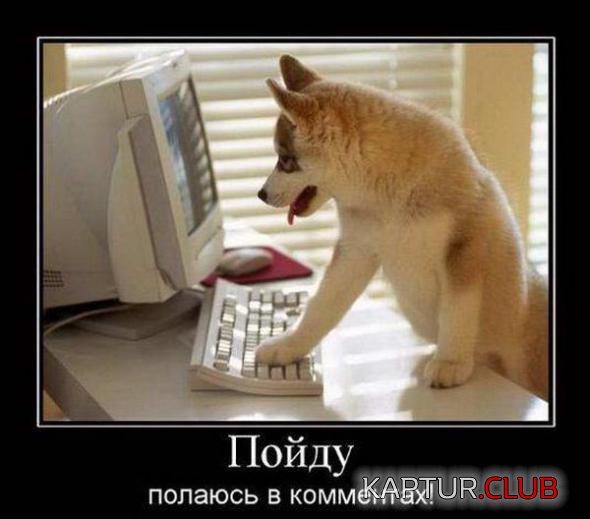 698db118fd3cd9c7f385742a44d_prev.jpg | Рено Каптур Клуб Россия | Форум KAPTUR.SU