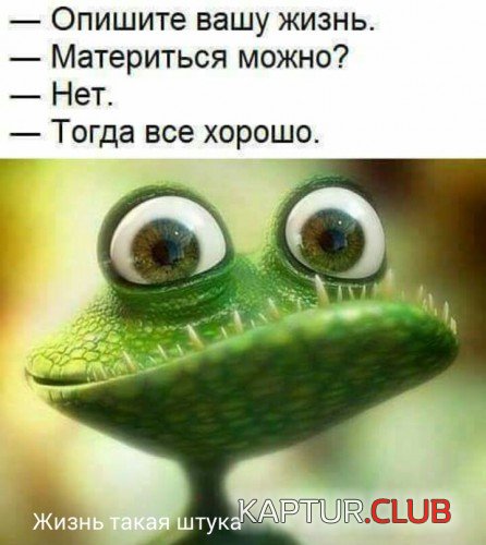 69967971.f.500.500.0.jpg | Рено Каптур Клуб Россия | Форум KAPTUR.SU