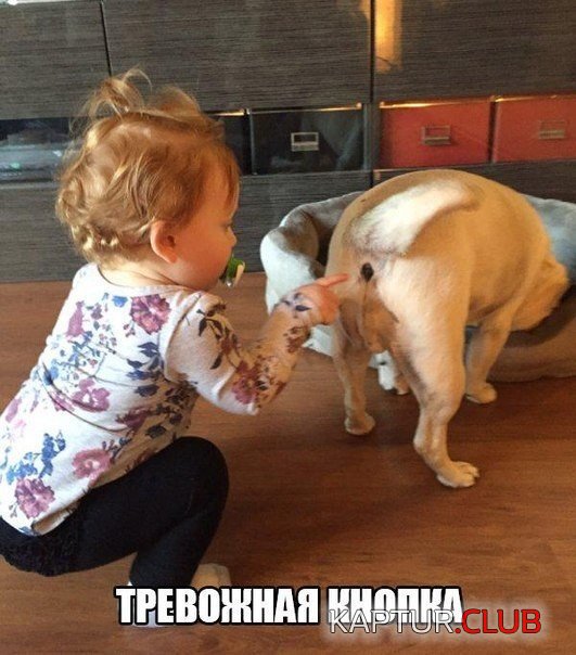 69ea1afb01f2979a1d123237f48.jpg | Рено Каптур Клуб Россия | Форум KAPTUR.SU