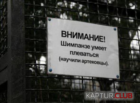 6a016a5d70883382ada5af17242_prev.jpg | Рено Каптур Клуб Россия | Форум KAPTUR.SU