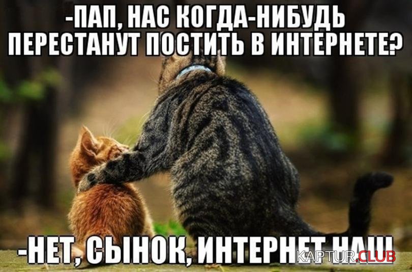 6aba404a4565580aec980ee00ea_prev.jpg | Рено Каптур Клуб Россия | Форум KAPTUR.SU