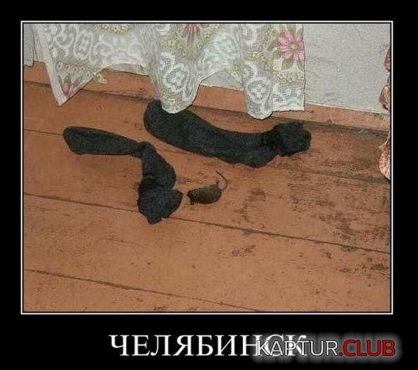 6acd9cbe9e2bd2c2b696d05e96b_prev.jpg | Рено Каптур Клуб Россия | Форум KAPTUR.SU