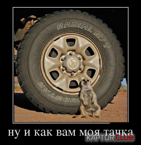 6ad4e43a5ca37adcb234eb5334a_prev.jpg | Рено Каптур Клуб Россия | Форум KAPTUR.SU