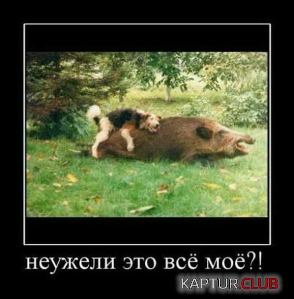 6afd3586551e61ed2b4ac012329_prev.jpg | Рено Каптур Клуб Россия | Форум KAPTUR.SU