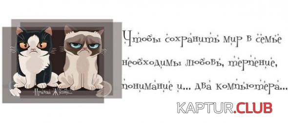 6b27ab7a6127b35514d0c6b327c_prev.jpg | Рено Каптур Клуб Россия | Форум KAPTUR.SU
