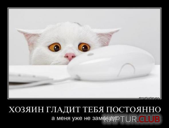 6b50c7e1c69b870fb955c831ccd_prev.jpg | Рено Каптур Клуб Россия | Форум KAPTUR.SU