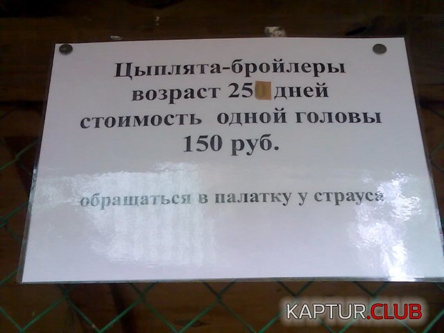 6bc8c8adc9d0f13fda8b7aec25e.jpg | Рено Каптур Клуб Россия | Форум KAPTUR.SU