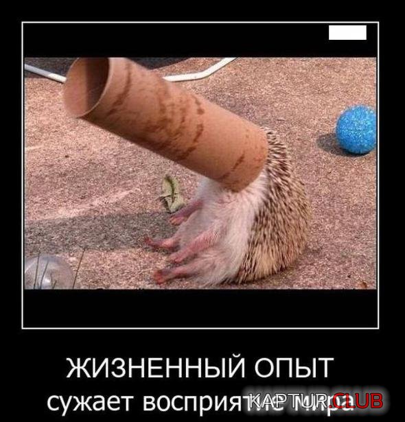 6c177f05446e1997a8635cfa0e7_prev.jpg | Рено Каптур Клуб Россия | Форум KAPTUR.SU