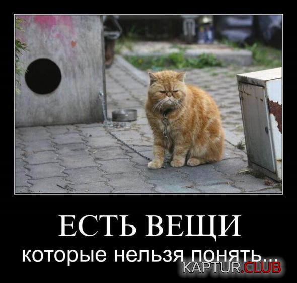 6c3c92c440980c376426ad9d0cd_prev.jpg | Рено Каптур Клуб Россия | Форум KAPTUR.SU