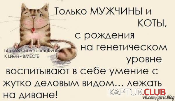 6c73a6d3b54de600b9e01e11fa5.jpg | Рено Каптур Клуб Россия | Форум KAPTUR.SU