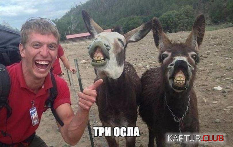6c85b9d463e8934e1a2b1b5b2f6_prev.jpg | Рено Каптур Клуб Россия | Форум KAPTUR.SU