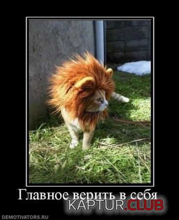 6cfa518ef339cce1bbea91087fd.jpg | Рено Каптур Клуб Россия | Форум KAPTUR.SU
