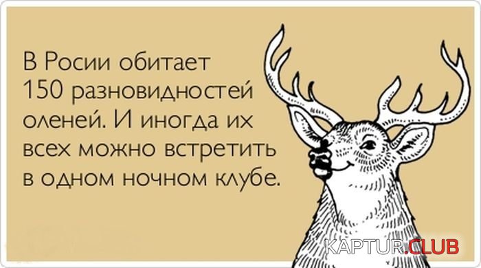 6d383173b7b0e1ff2ebadcbde20.jpg | Рено Каптур Клуб Россия | Форум KAPTUR.SU