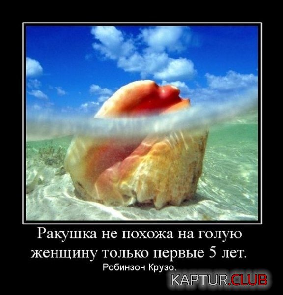 6e0f55bc3d74168003f8e269796.jpg | Рено Каптур Клуб Россия | Форум KAPTUR.SU