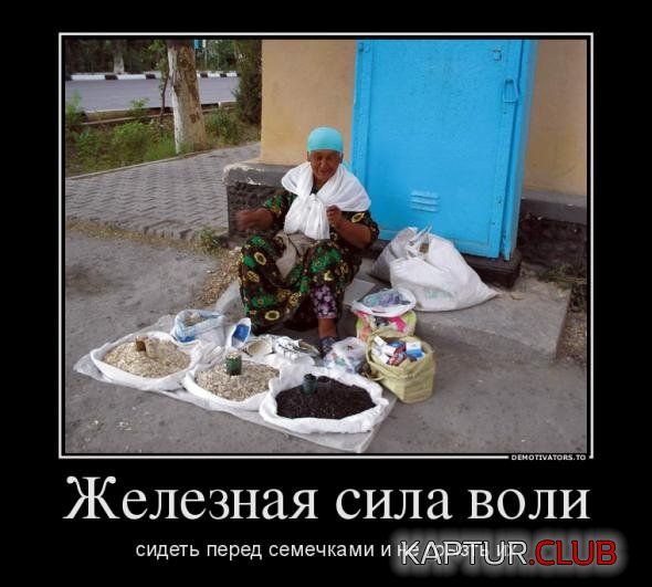 6e2712b42fea2ad3b7ff229fbc9_prev.jpg | Рено Каптур Клуб Россия | Форум KAPTUR.SU