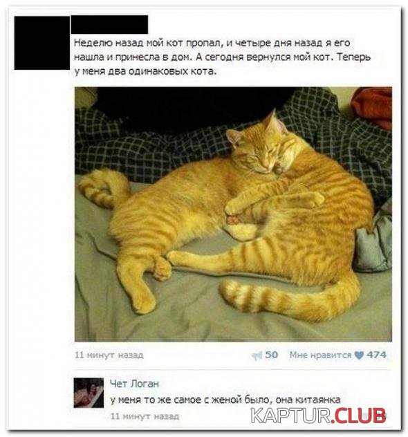 6e32f66b3a04154318469b4ff6a_prev.jpg | Рено Каптур Клуб Россия | Форум KAPTUR.SU
