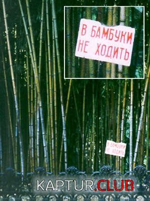 6e3760bcc03eed52dac991999d135453_full.jpg | Рено Каптур Клуб Россия | Форум KAPTUR.SU