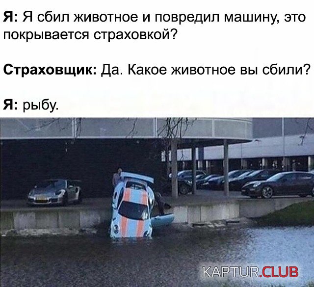 6e8e9e7a1e33319c9a087848614.jpg | Рено Каптур Клуб Россия | Форум KAPTUR.SU