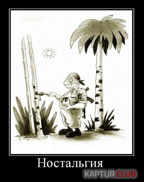 6f0e431fe133d5e0e4262562ef0.jpg | Рено Каптур Клуб Россия | Форум KAPTUR.SU